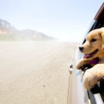 AdobeStock_34337870-1600x1600